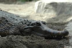 Fuengirola Zoo