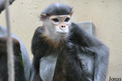 Kölner Zoo
