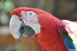 The Tisch Family Zoological Gardens in Jerusalem