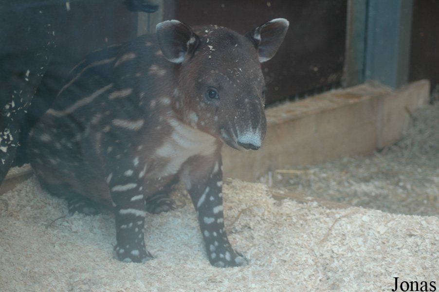 Zoo Wuppertal