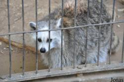 Zoological Center Tel Aviv-Ramat Gan