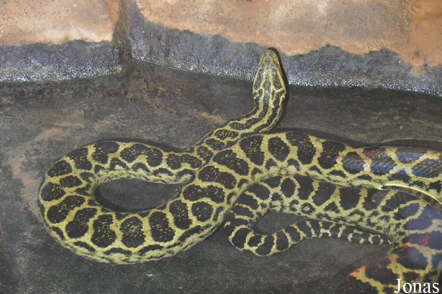 Zoological Center Tel Aviv-Ramat Gan