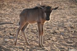 Zoological Center Tel Aviv-Ramat Gan