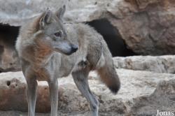 Zoological Center Tel Aviv-Ramat Gan