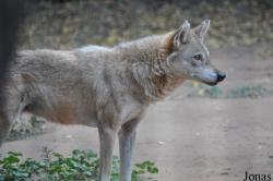 Zoological Center Tel Aviv-Ramat Gan