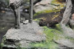 Zoo Rostock