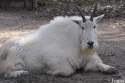 Zoo Rostock