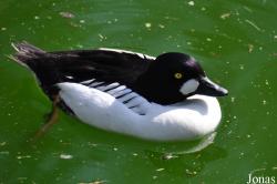Zoo Rostock