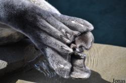 Tierpark Hagenbeck