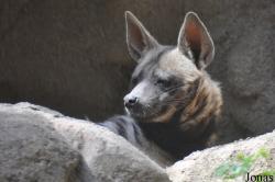 San Diego Zoo