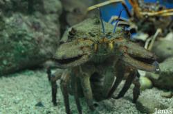 Corfu Aquarium