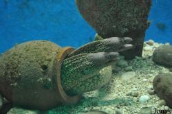 Corfu Aquarium