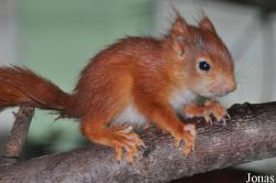 Tierpark Weeze