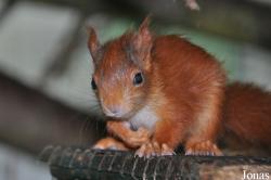 Tierpark Weeze