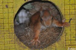 Tierpark Weeze