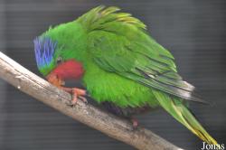 San Diego Zoo