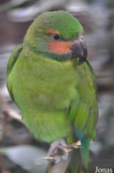 San Diego Zoo