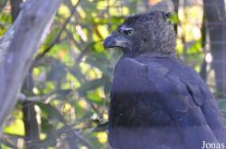 San Diego Zoo