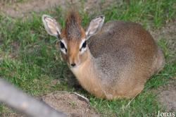 San Diego Zoo