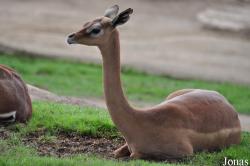 San Diego Zoo