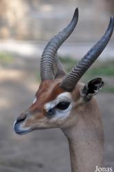 San Diego Zoo