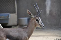 San Diego Zoo