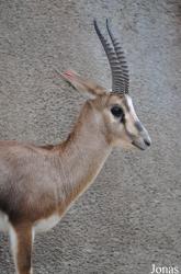 San Diego Zoo