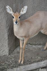 San Diego Zoo