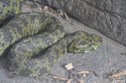 San Diego Zoo