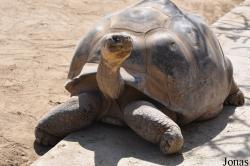 San Diego Zoo