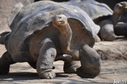 San Diego Zoo