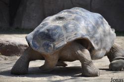 San Diego Zoo