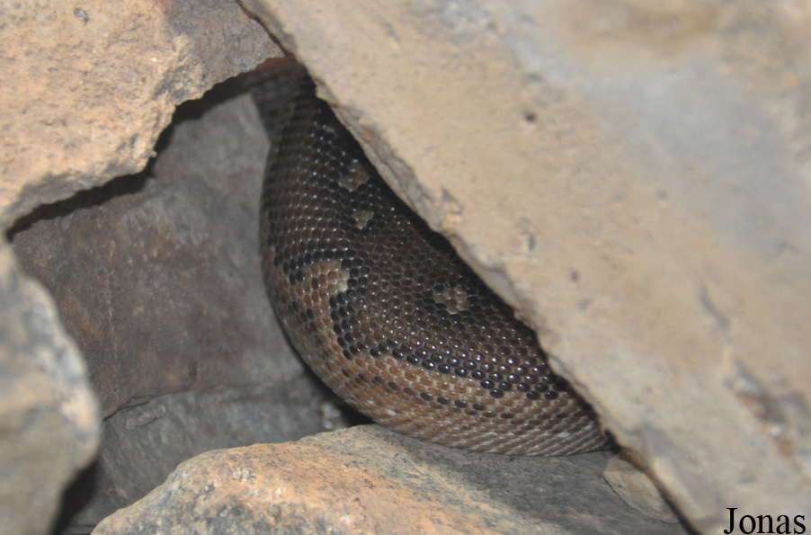 San Diego Zoo