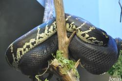 San Diego Zoo