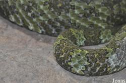 San Diego Zoo