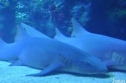 Sea Life Abenteuer Park Oberhausen