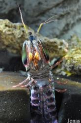 Sea Life Abenteuer Park Oberhausen