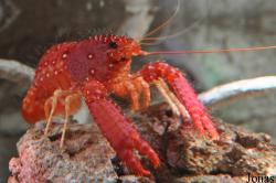 Sea Life Abenteuer Park Oberhausen