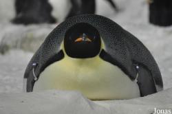 SeaWorld San Diego