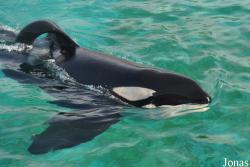 SeaWorld San Diego