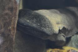 Zoo Berlin