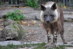 Tierpark Berlin