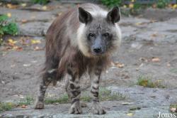 Tierpark Berlin