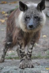 Tierpark Berlin