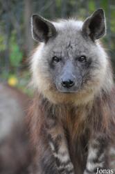 Tierpark Berlin
