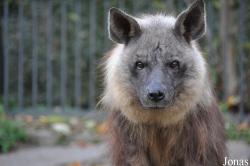 Tierpark Berlin