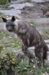 Tierpark Berlin