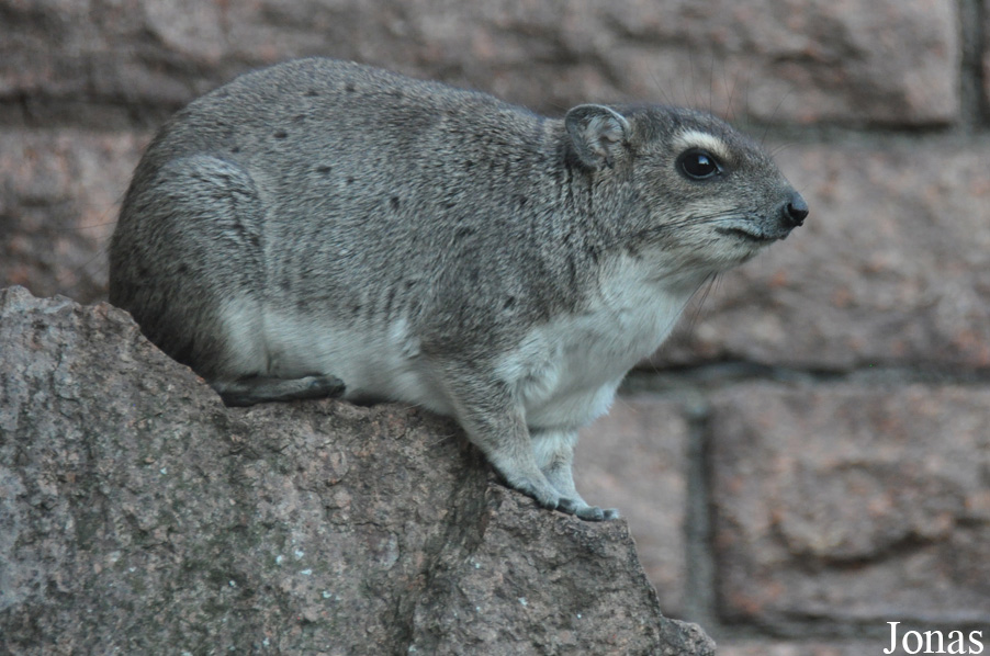 Tierpark Berlin