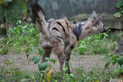 Tierpark Berlin