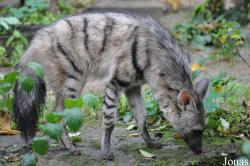 Tierpark Berlin